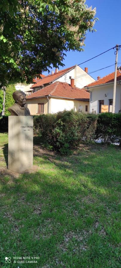 Stevan Sremac Soko Banja Exterior photo
